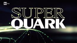 Immagine tratta da Superquark